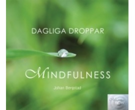 Dagliga droppar Mindfulness Bergstad Johan